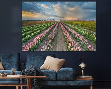 Tulpenveld in het Rijndistrict van Neuss van Michael Valjak