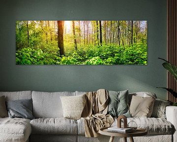 Grüner Wald im Frühling mit strahlender Sonne im Hintergrund von Günter Albers