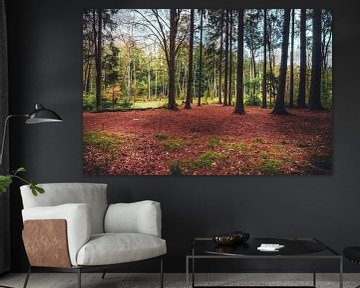 Une forêt dans le marais sur Skyze Photography by André Stein