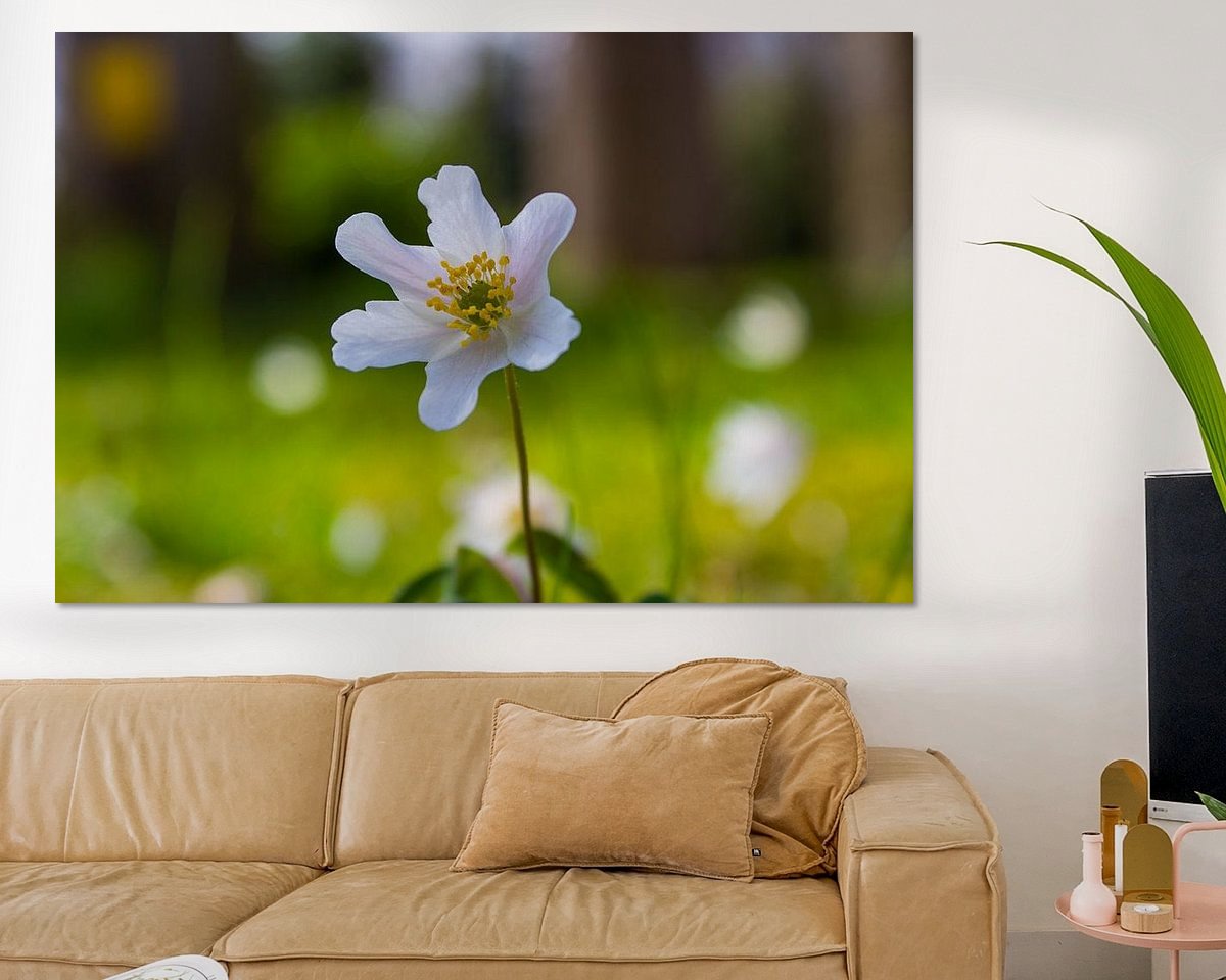 Raumvorschau