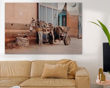 Esel Marrakech von Anne Verhees