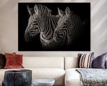 Zebra: portret van twee zebra's in zwart-wit