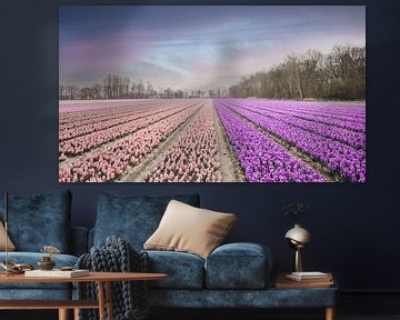 Zacht rose en fel paars gekleurde bloemen met pastel kleurige lucht | Lisse, Zuid-Holland, Nederland van Sanne Dost