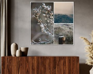 collage by Lucienne de Brabander