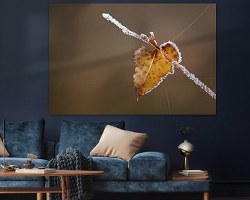 hartje von Lucienne de Brabander