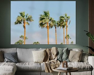 Palmbomen | Miami | USA | Reisfotografie van Mirjam Broekhof