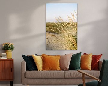Dune grass at the beach I | Bloemendaal aan Zee | Netherlands by Mirjam Broekhof