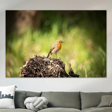 Roodborstje met Groene Lente Bokeh