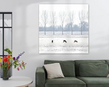 3 Herten in Hollands Winter Landschap van Thomas Thiemann