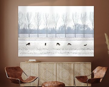 5 Herten in Hollands Winter Landschap van Thomas Thiemann