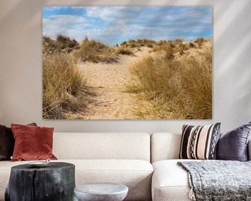 Dunes landscape, South Kennemerland by Nynke Altenburg