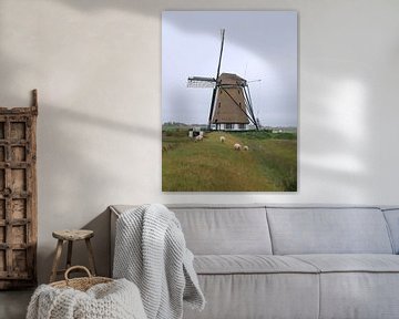 Windmill Het Noorden, Texel by Liselotte Helleman