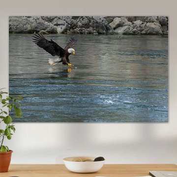 Mittagessen in Sicht