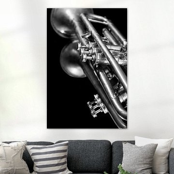 Old  Vintage Jazz Brass Trumpet Music Lover Black White Reflection
