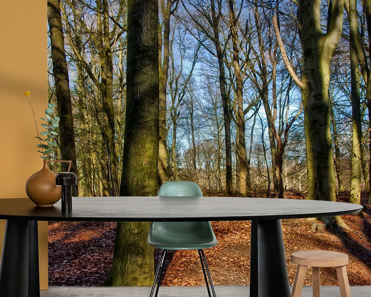 Raumvorschau