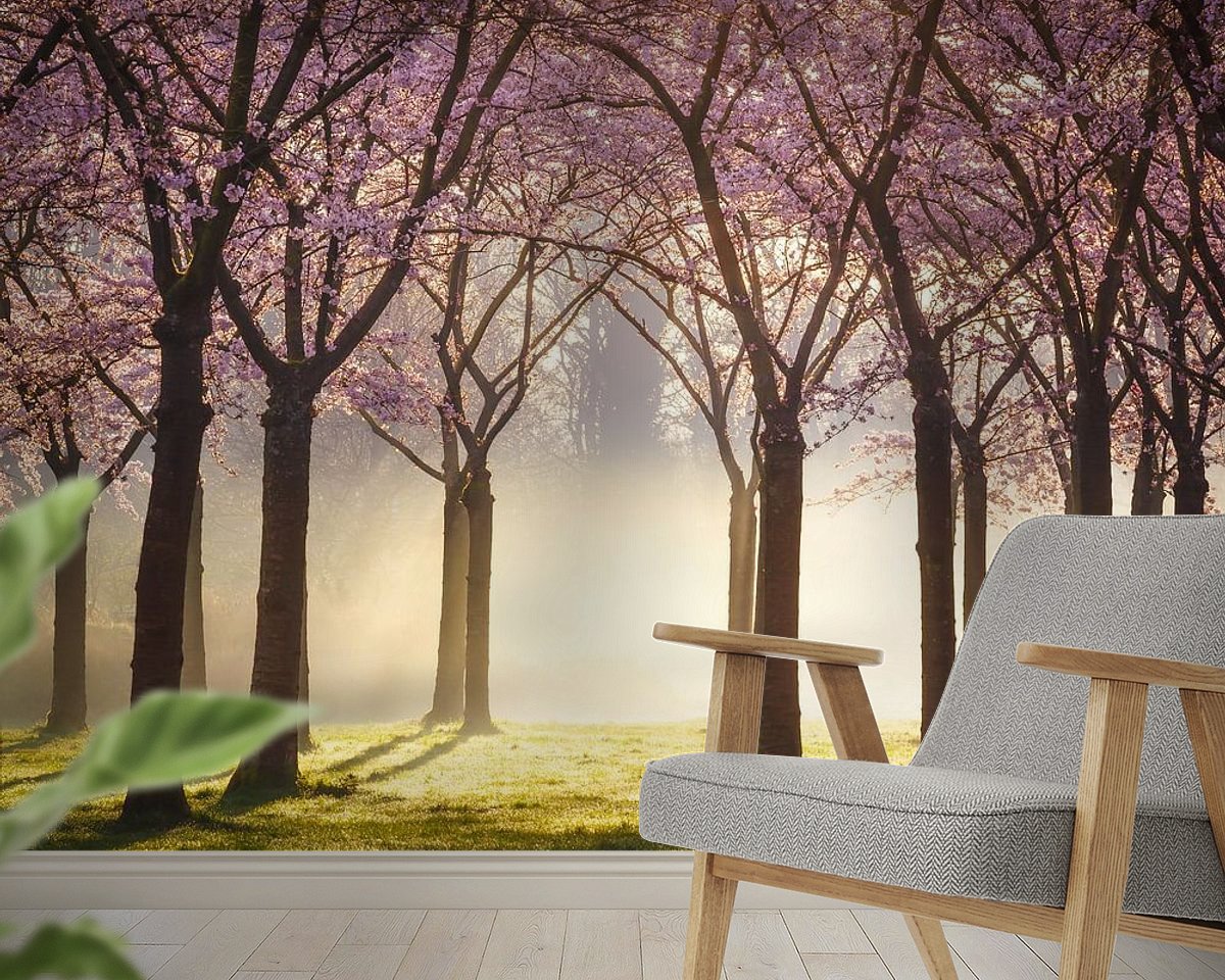 Raumvorschau