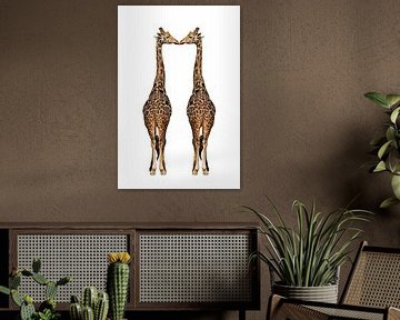 Twee giraffen tegen wit achtergrond van Chihong