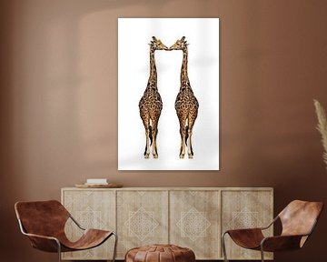 Twee giraffen tegen wit achtergrond van Chihong