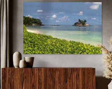 Zandstrand op het Seychellen eiland Mahé van Reiner Conrad