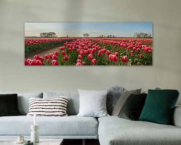 Rose tulpen. van Ivo Schut Fotografie