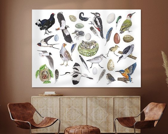 Aperçu de la chambre