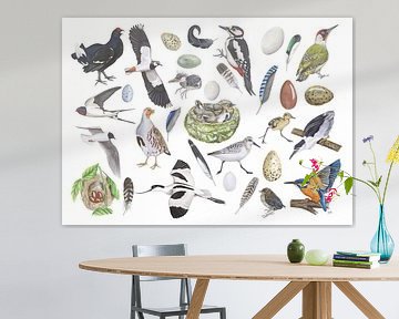 The life of birds. by Jasper de Ruiter