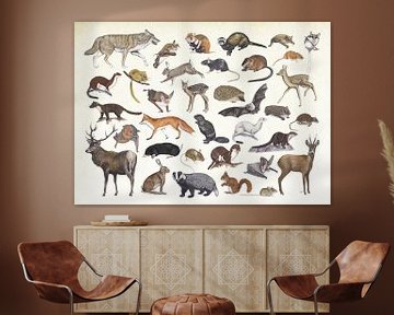 Mammals of the Netherlands. by Jasper de Ruiter
