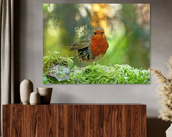 Aperçu de la chambre