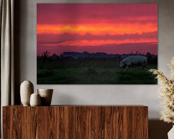 Schaap tijdens vuurrode zonsondergang van Niels Punter