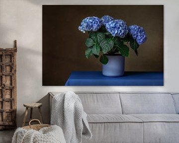 Still life with hydrangea by Mirjam Brozius