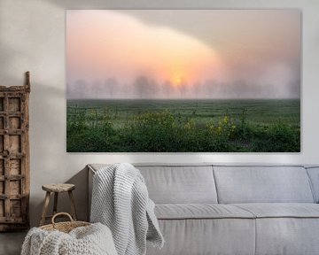 paysage de printemps dans le brouillard sur Tania Perneel