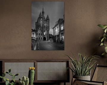 Sassenpoort, Zwolle van Jens Korte