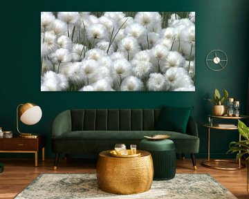 Cotton plant by Gisela- Art for You