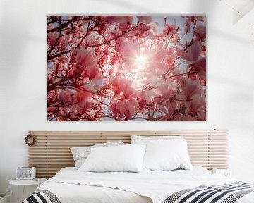 Spring Sun by Jan van der Knaap