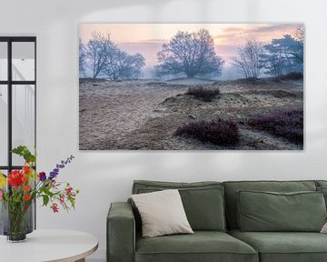 Zeegser Duinen met polletjes hei in de voorgrond