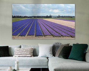 Flower fields with daffodils, hyacinths and tulips by Rini Kools