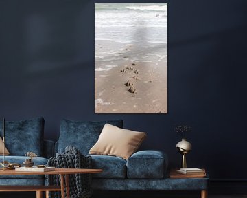 Hundeknochenabdrücke im Sand von Annelies Cranendonk