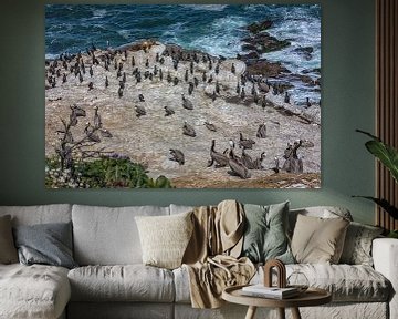 Pelikanen en zeeleeuwen op een rotsachtige kustlijn met de oceaan op de achtergrond van Mohamed Abdelrazek