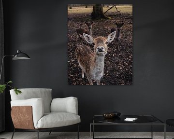 Deer portrait by Werner Lantinga