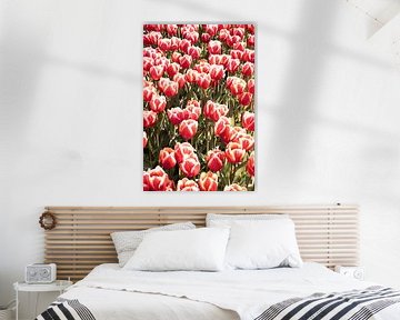 Red Tulips In Spring by Henrike Schenk