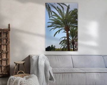 Palmboom van Bente Teertstra