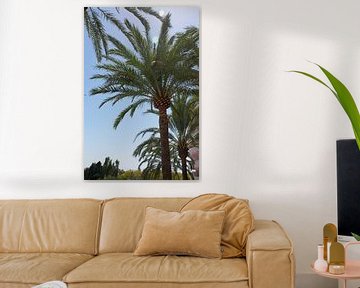 Palm tree by Bente Teertstra