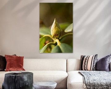botanische kunst, macrofoto van een groene plant met bloem