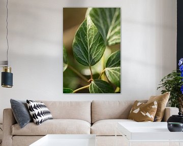 botanische fotokunst van een groene plant van Karijn | Fine art Natuur en Reis Fotografie