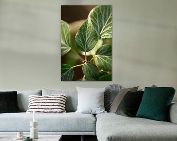 botanische fotografie van een groene plant van Karijn | Fine art Natuur en Reis Fotografie