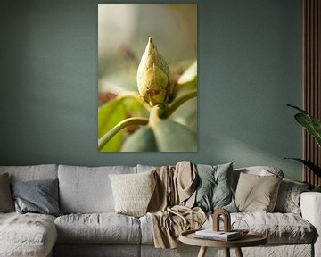 botanische kunst, macrofoto van een bloem