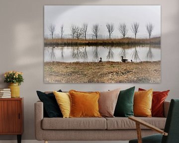 Ganzen in mistig landschap van Yolande Mulder