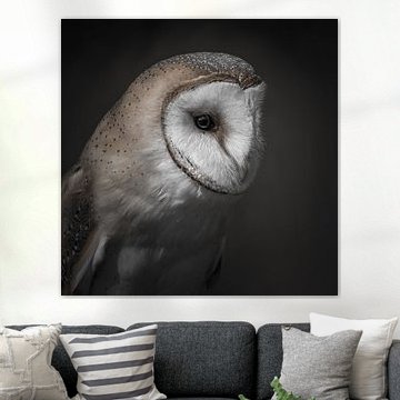 Church owl by Marian van der Kallen Fotografie