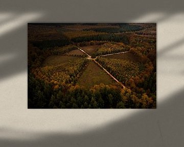 "De Eenzame Eik" vanuit de lucht, Nederland