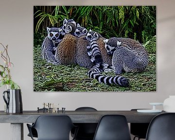 Ringelschwanzlemur von Jose Lok